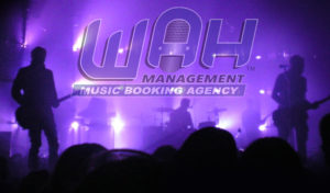 purple light concert